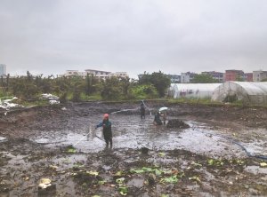 大余河道鱼塘清淤